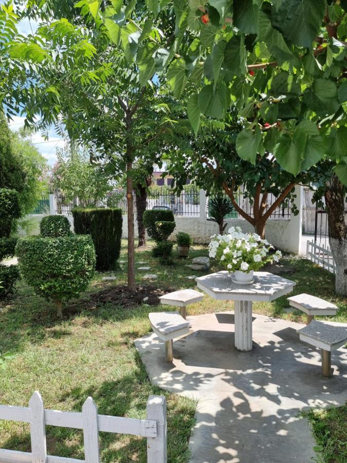 Guest House Vila Elezi Durrës 外观 照片
